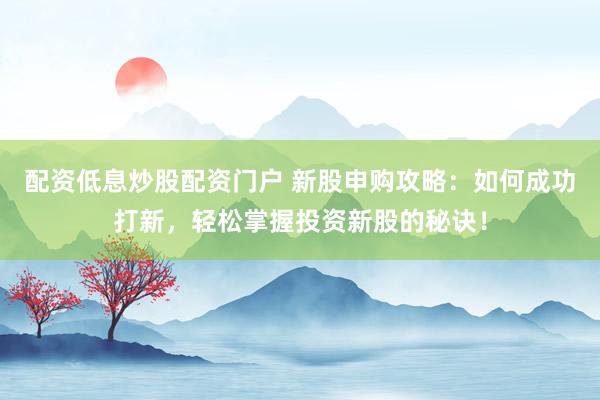 配资低息炒股配资门户 新股申购攻略：如何成功打新，轻松掌握投资新股的秘诀！