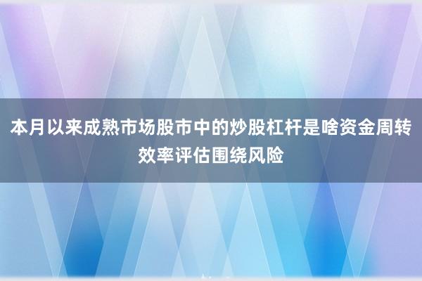 本月以来成熟市场股市中的炒股杠杆是啥资金周转效率评估围绕风险