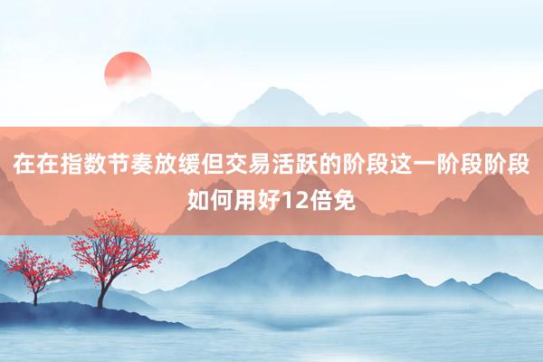 在在指数节奏放缓但交易活跃的阶段这一阶段阶段如何用好12倍免