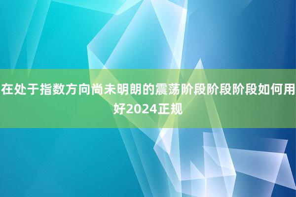 在处于指数方向尚未明朗的震荡阶段阶段阶段如何用好2024正规