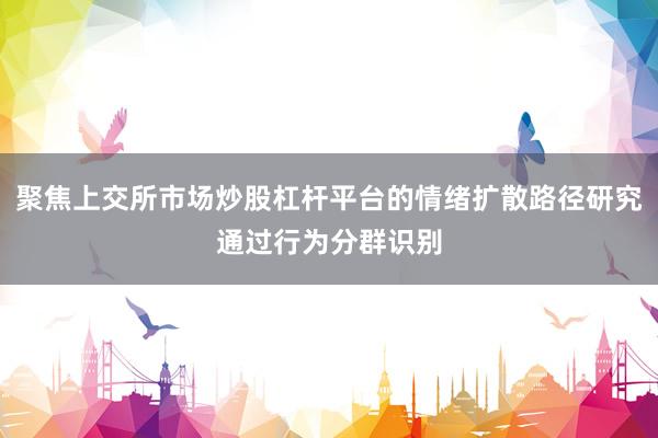聚焦上交所市场炒股杠杆平台的情绪扩散路径研究通过行为分群识别