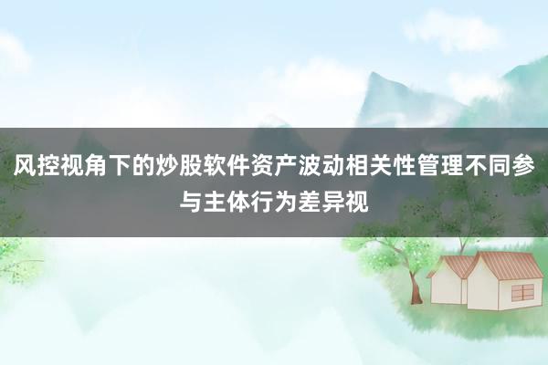 风控视角下的炒股软件资产波动相关性管理不同参与主体行为差异视