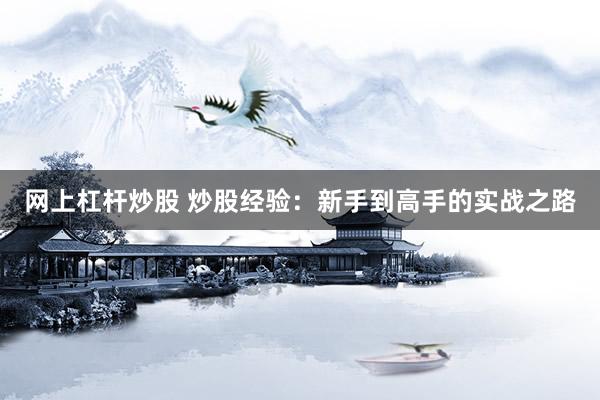 网上杠杆炒股 炒股经验：新手到高手的实战之路