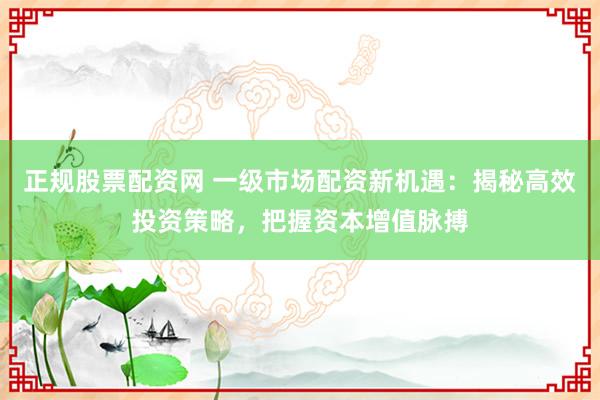 正规股票配资网 一级市场配资新机遇：揭秘高效投资策略，把握资本增值脉搏
