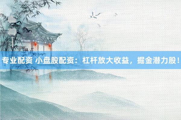 专业配资 小盘股配资:杠杆放大收益,掘金潜力股!