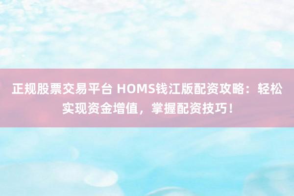 正规股票交易平台 HOMS钱江版配资攻略：轻松实现资金增值，掌握配资技巧！