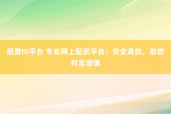 股票t0平台 专业网上配资平台：安全高效，助您财富增值